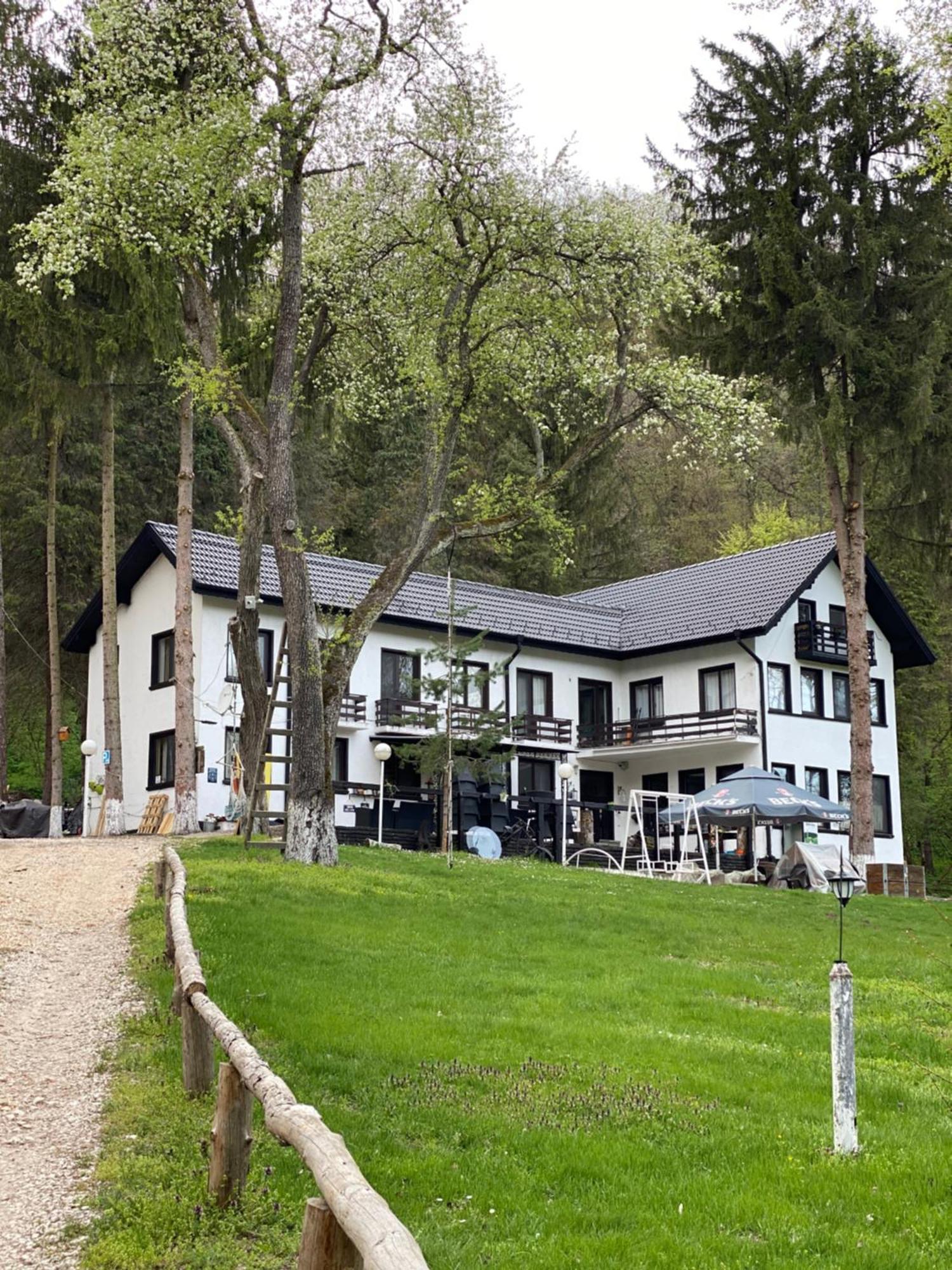 Villa Starite Borove à Sinagovtsi Extérieur photo